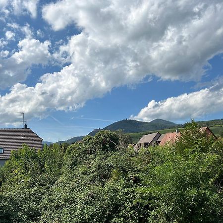 Gite Neuf En Duplex Tout Confort Ribeauvillé Buitenkant foto