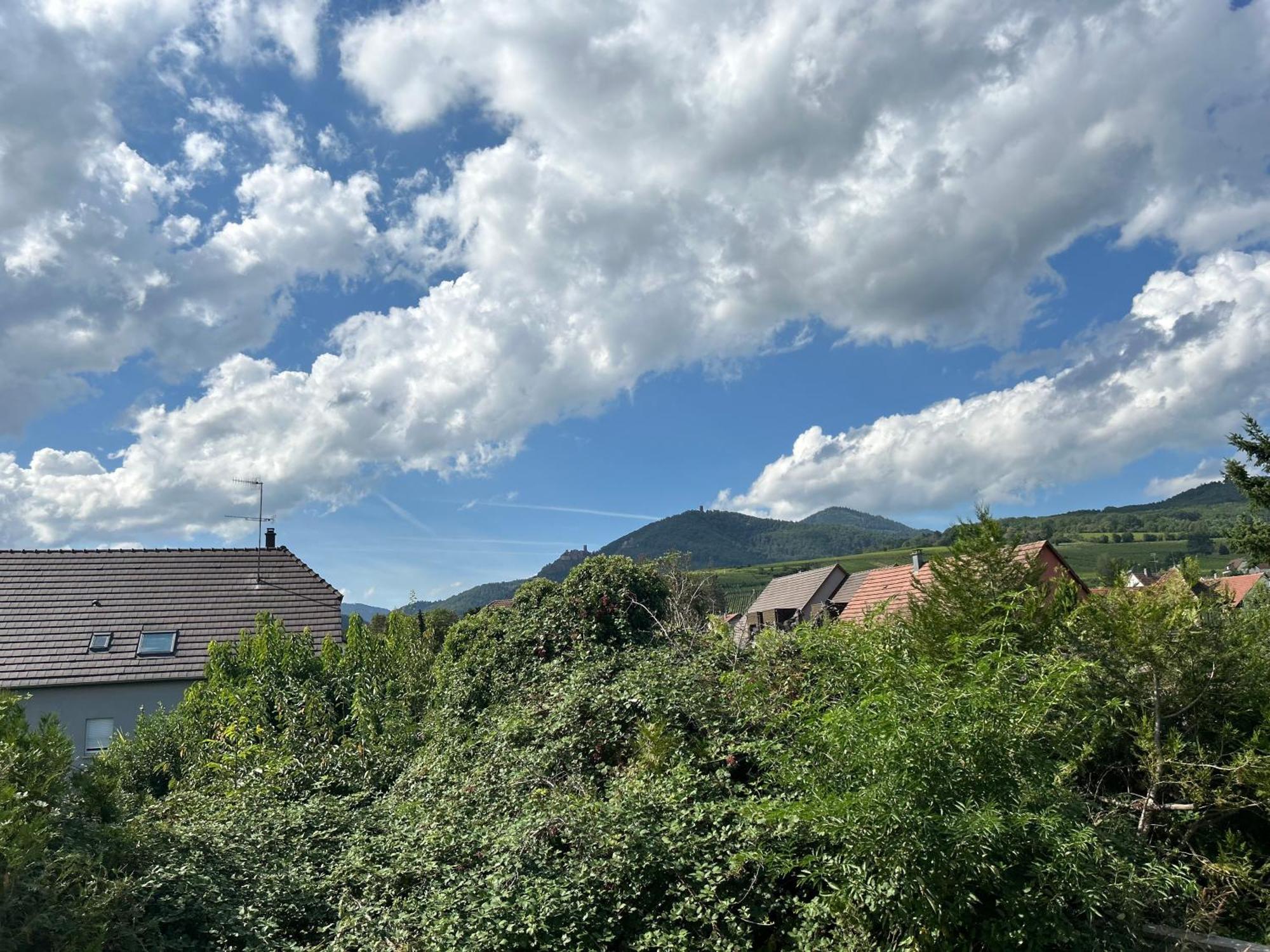 Gite Neuf En Duplex Tout Confort Ribeauvillé Buitenkant foto